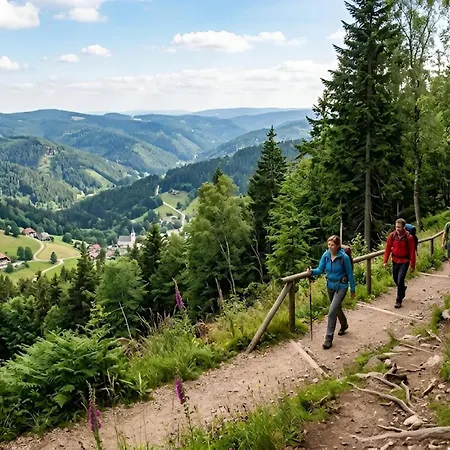 Apartment Auszeit Am Lift I Direkt An Der Skipiste I Whirlpool-wanne I Tiefgaragenstellplatz I 2min Zum Wanderweg Feldberg (Baden-Wurttemberg)