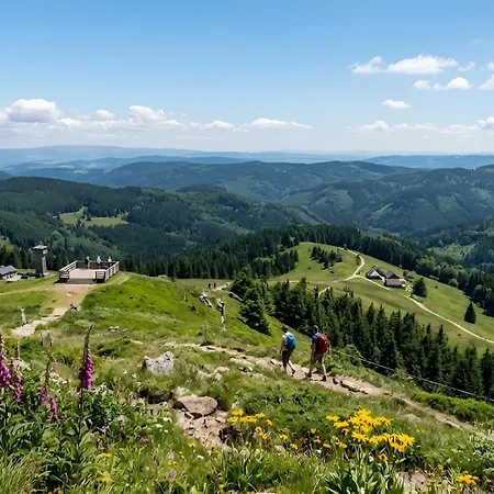 Auszeit Am Lift I Direkt An Der Skipiste I Whirlpool-wanne I Tiefgaragenstellplatz I 2min Zum Wanderweg Apartment *